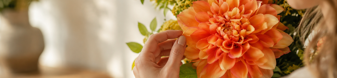 vrouw raakt oranje dahlia aan