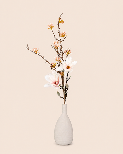 japandi bloesemtak en magnolia tak