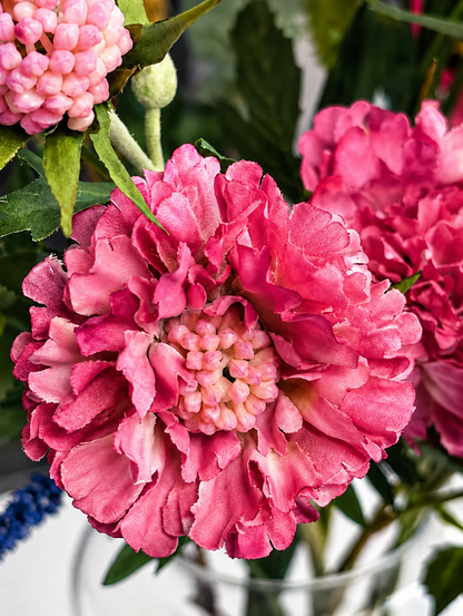 zijdebloem scabiosa duifkruid fuchsia