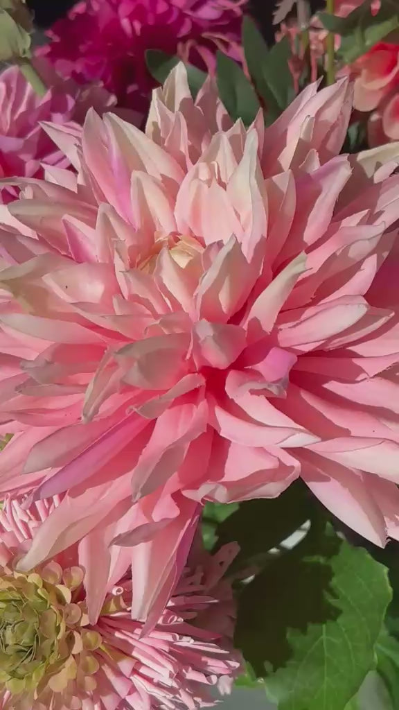 zijden bloemen boeket dahlia's