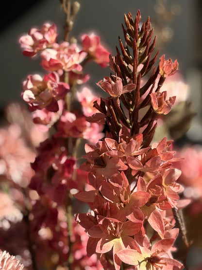 Velvet Shadow | Zijden boeket met oud roze tinten