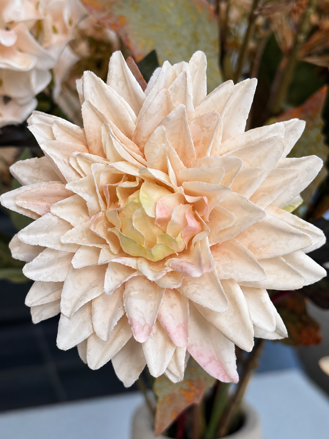 zijdebloem chrysant creme