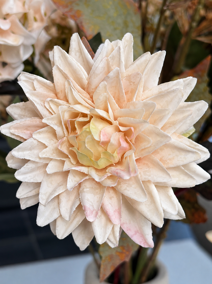 zijdebloem chrysant creme