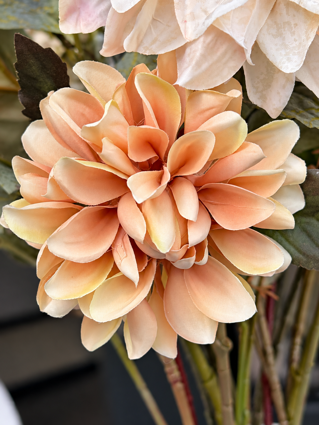 zijdebloem dahlia zalm vanille