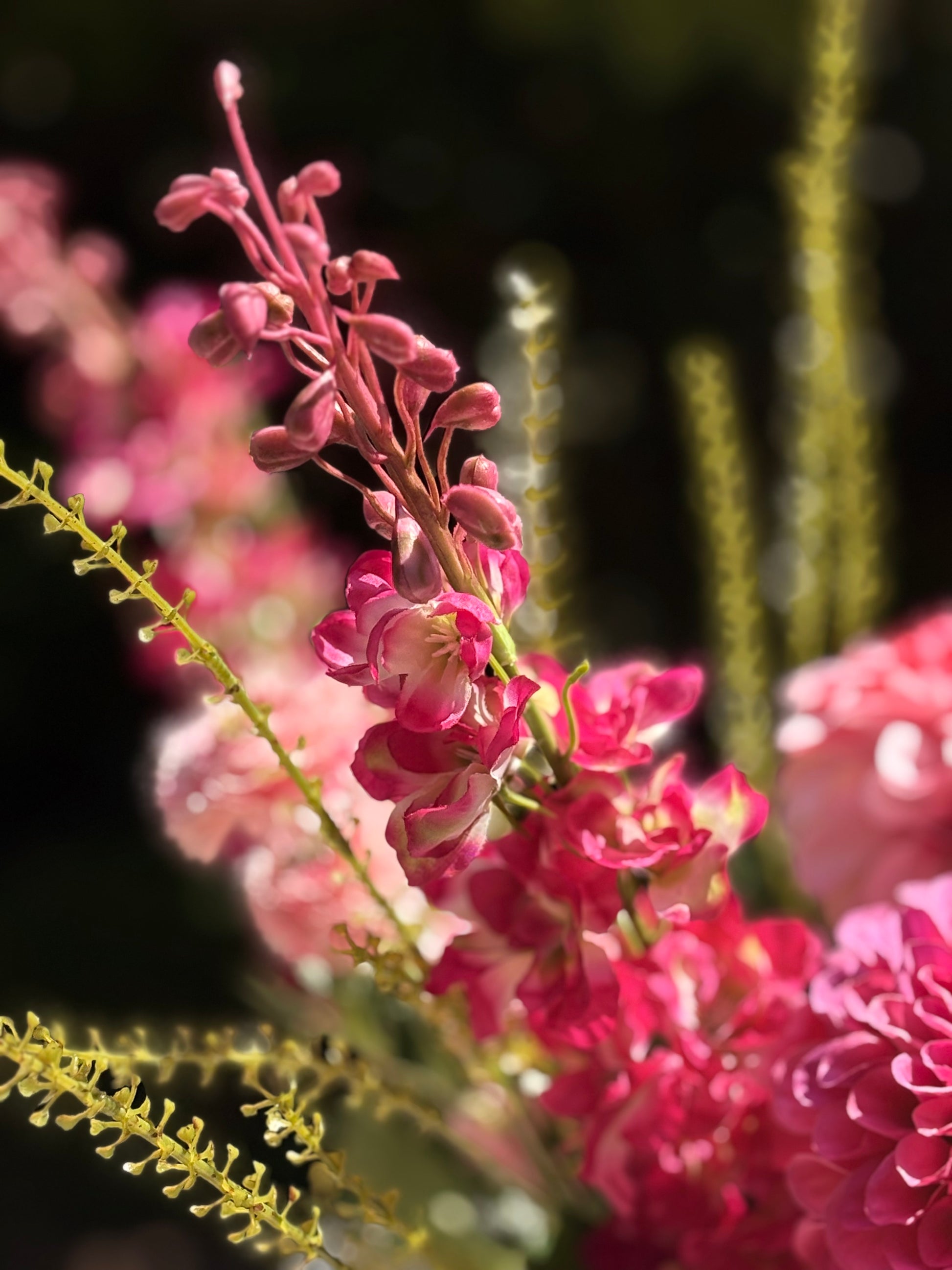 zijdenbloem delfinium