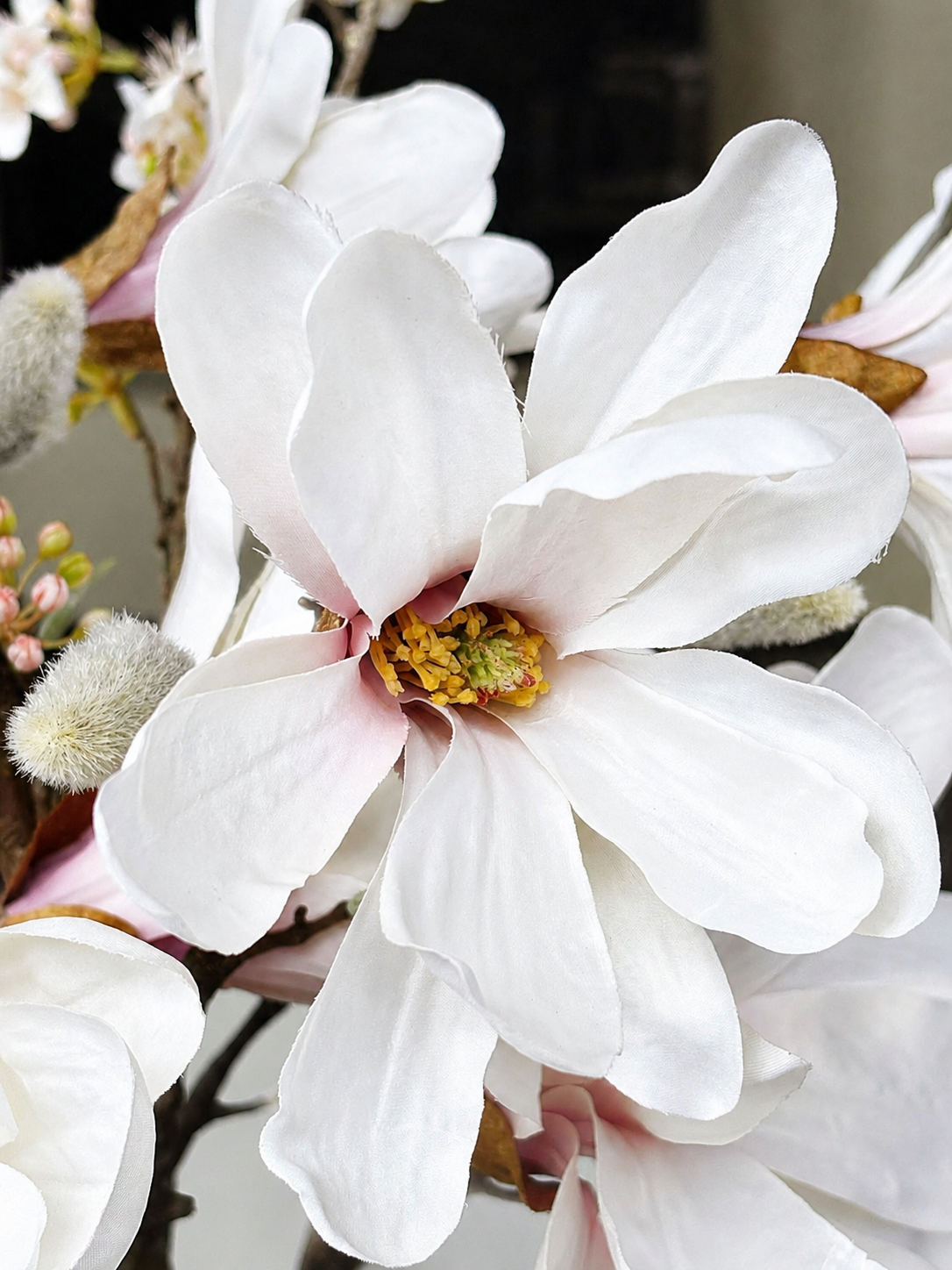 zijdebloem magnolia