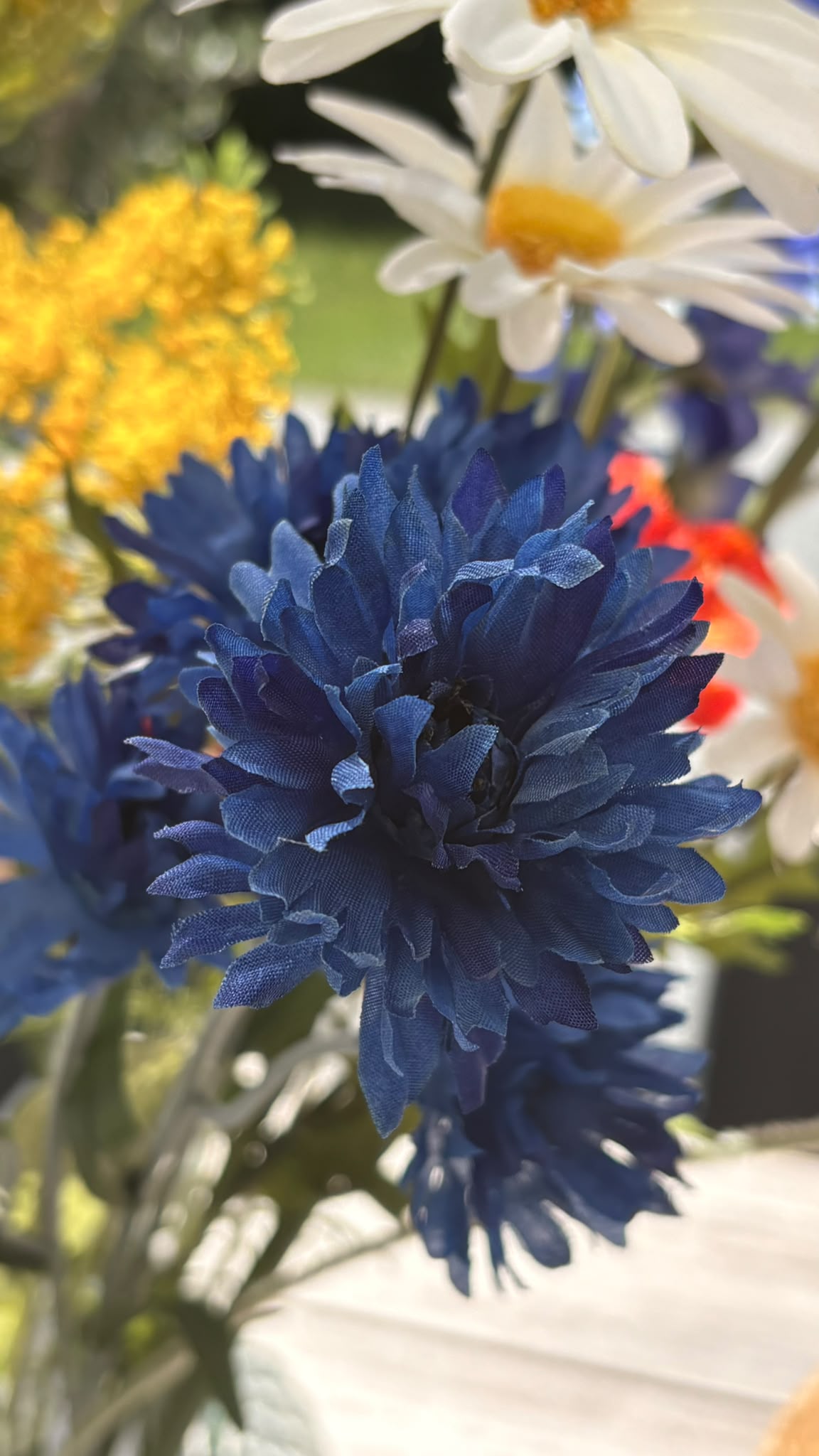 veldbloem zijdebloem korenbloem blauw