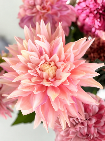 zijden bloem grote dahlia roze
