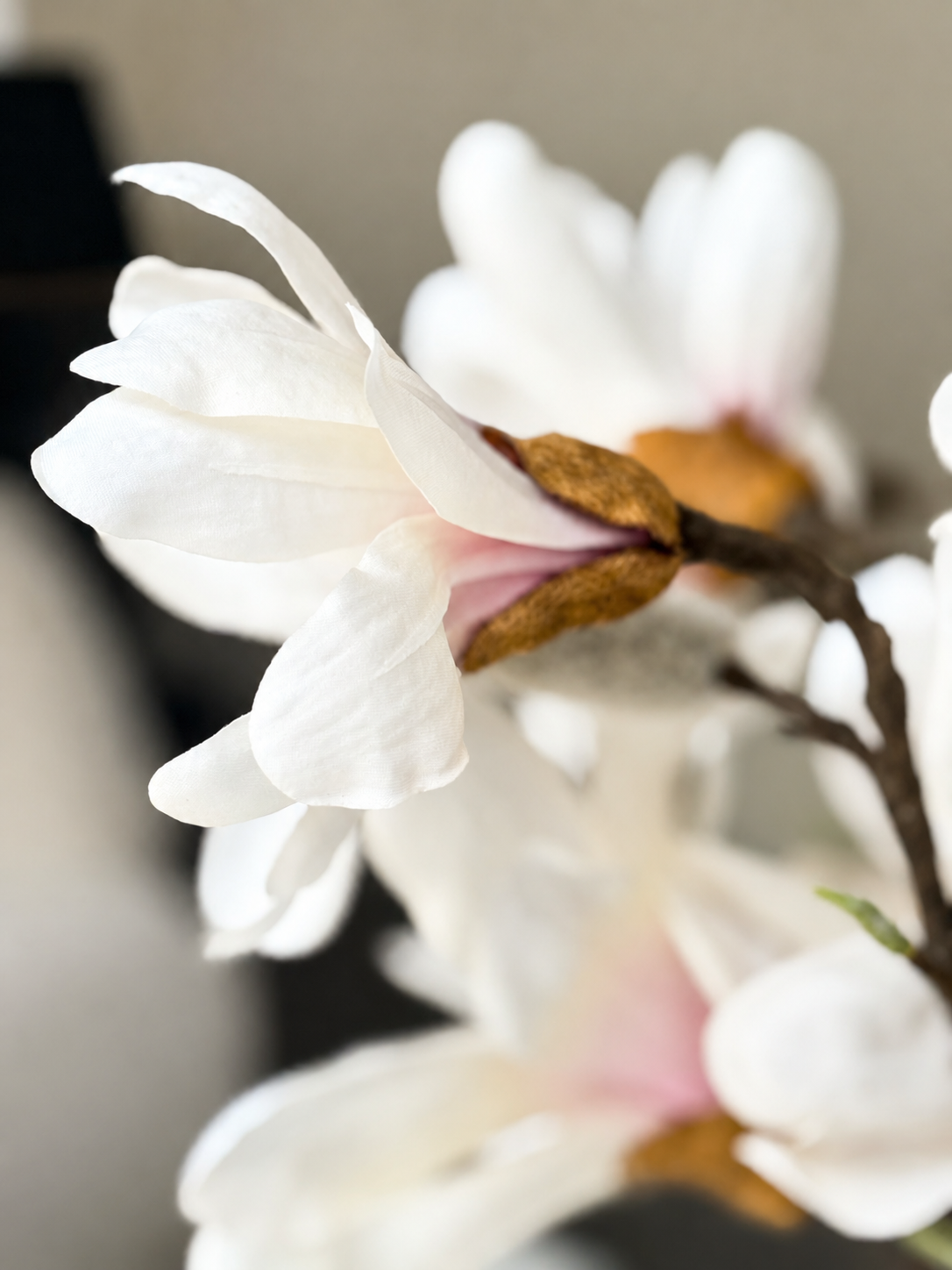 zijdenbloem net echt magnolia