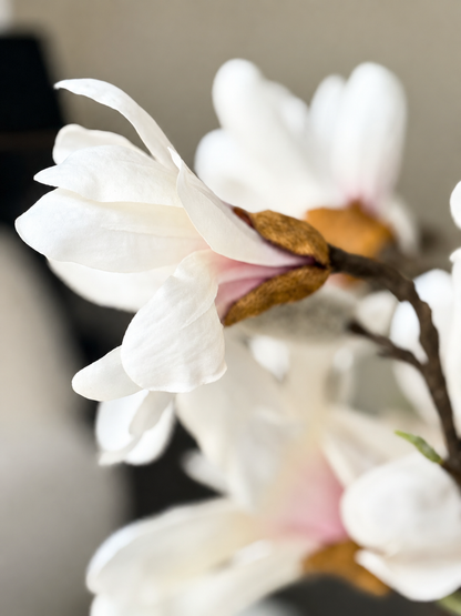 zijdenbloem net echt magnolia