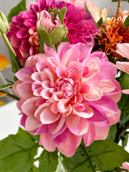 zijdenbloem dahlia roze fuchsia