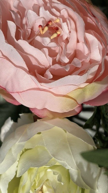 zijdebloem pioen rose en wit